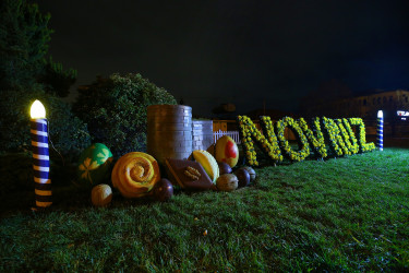 Novruz bayramı ərəfəsində Binəqədi rayonunun prospektləri, küçələri, parkları bayram əhval-ruhiyyəsi ilə bəzədilib