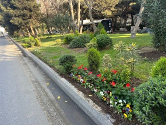 Binəqədi rayonu ərazisində abadlıq və təmizlik işləri mütəmadi davam etdirilir