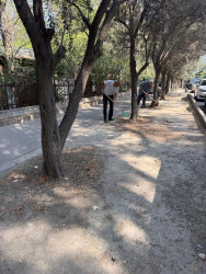Paytaxtda keçirilən ümumşəhər iməciliyi çərçivəsində Binəqədi rayonunda 15 avqust 2026-cı il tarixində növbəti ümumrayon iməciliyi keçirildi