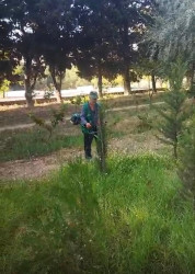 Binəqədi rayonunda 05 sentyabr 2026-cı il tarixində növbəti ümumrayon iməciliyi keçirildi