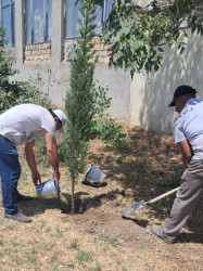 Binəqədi rayonunda 12 iyul 2025-ci il tarixində növbəti ümumrayon iməciliyi keçirildi