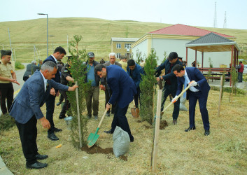 Xocəsən qəsəbəsində ağacəkmə aksiyası keçirildi