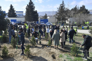 Binəqədidə “Şəhərsalma və Memarlıq İli” ili çərçivəsində ağacəkmə aksiyası keçirildi