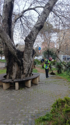 30 mart 2026-cı il tarixində paytaxtda keçirilən ümumşəhər iməciliyi çərçivəsində Binəqədi rayonunda da növbəti ümumrayon iməciliyi keçirildi