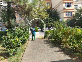 Binəqədi rayonunda 05 sentyabr 2026-cı il tarixində növbəti ümumrayon iməciliyi keçirildi