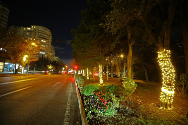 31 Dekabr - “Dünya Azərbaycanlılarının Həmrəyliyi Günü” və “Yeni il” bayramı münasibətilə Binəqədi rayonunun prospektləri, küçələri, parkları bəzədildi