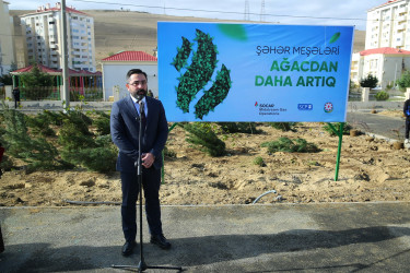 Binəqədi rayonunda Zəfər Günün beşinci ildönümü münasibətilə ağacəkmə aksiyası keçirildi