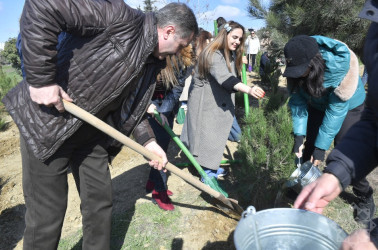 Binəqədidə “Şəhərsalma və Memarlıq İli” ili çərçivəsində ağacəkmə aksiyası keçirildi