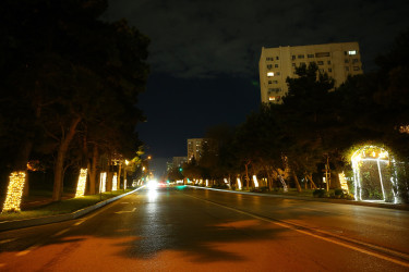 31 Dekabr - “Dünya Azərbaycanlılarının Həmrəyliyi Günü” və “Yeni il” bayramı münasibətilə Binəqədi rayonunun prospektləri, küçələri, parkları bəzədildi