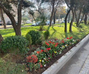 Binəqədi rayonu ərazisində abadlıq və təmizlik işləri mütəmadi davam etdirilir