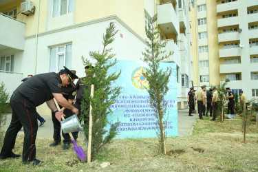 Xocəsən qəsəbəsində ağacəkmə aksiyası keçirildi