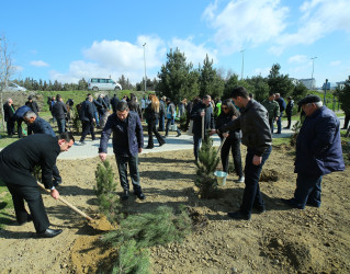 Binəqədidə “Şəhərsalma və Memarlıq İli” ili çərçivəsində ağacəkmə aksiyası keçirildi