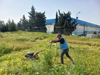 Binəqədi rayonunda 03 may 2025-ci il tarixində növbəti ümumrayon iməciliyi keçirildi