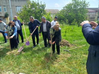 Xocəsən qəsəbəsində “Konstitusiya və Suverenlik İli” çərçivəsində 02 may 2025-ci il tarixində ağacəkmə aksiyasi keçirildi