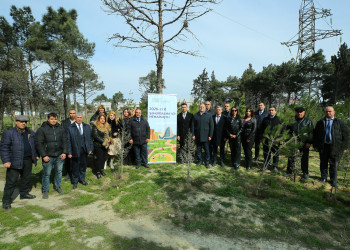 Biləcəri qəsəbəsinin 10 May küçəsində “Şəhərsalma və Memarlıq İli” çərçivəsində genişmiqyaslı ağacəkmə aksiyası keçirildi