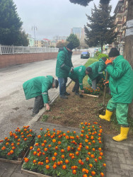30 mart 2026-cı il tarixində paytaxtda keçirilən ümumşəhər iməciliyi çərçivəsində Binəqədi rayonunda da növbəti ümumrayon iməciliyi keçirildi