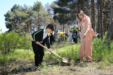 Binəqədi Rayon İcra Hakimiyyətinin və Biləcəri bələdiyyəsinin birgə təşkilatçılığı ilə ağacəkmə aksiyası 27.04.2024