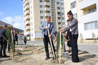 Xocəsən qəsəbəsi, Cökəli küçəsində şəhid və qazi ailələri üçün nəzərdə tutulmuş yaşayış kompleksinin ərazisində ağacəkmə aksiyası 26.09.2024