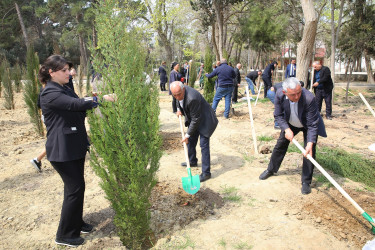 Binəqədi Rayon İcra Hakimiyyətinin və M.Ə.Rəsulzadə Bələdiyyəsinin birgə təşkilatçılığı ilə ağacəkmə aksiyası 06.04.2024