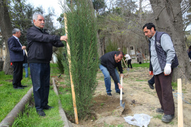 Binəqədi Rayon İcra Hakimiyyətinin və M.Ə.Rəsulzadə Bələdiyyəsinin birgə təşkilatçılığı ilə ağacəkmə aksiyası 06.04.2024