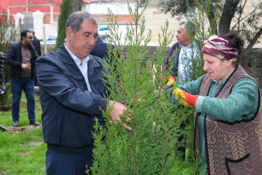 Binəqədi Rayon İcra Hakimiyyətinin və M.Ə.Rəsulzadə Bələdiyyəsinin birgə təşkilatçılığı ilə ağacəkmə aksiyası 06.04.2024