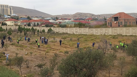 “Yaşıl dünya naminə həmrəylik ili” və Bakı şəhərində keçiriləcək Birləşmiş Millətlər Təşkilatının İqlim dəyişmələri üzrə Çərçivə Konvensiyasının Tərəflər Konfransının 29-cu sessiyası (COP-29) ilə əlaqədar 18 oktyabr 2024-cü il tarixində Binəqədi rayonunun Xocəsən qəsəbəsi Çingizxan və Universitet küçələrində ağacəkmə 18.10.2024