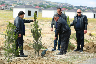 Binəqədi Rayon İcra Hakimiyyətinin və Binəqədi rayonu ərazisində fəaliyyət göstərən bələdiyyələrin birgə təşkilatçılığı ilə Novxanı çimərliyində iməclik 04.05.2024