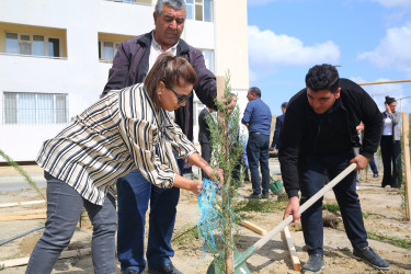 Xocəsən qəsəbəsi, Cökəli küçəsində şəhid və qazi ailələri üçün nəzərdə tutulmuş yaşayış kompleksinin ərazisində ağacəkmə aksiyası 26.09.2024