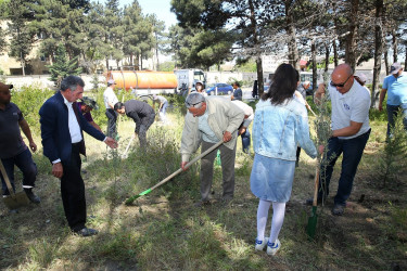 Binəqədi Rayon İcra Hakimiyyətinin və Biləcəri bələdiyyəsinin birgə təşkilatçılığı ilə ağacəkmə aksiyası 27.04.2024