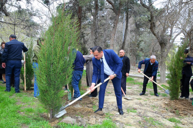 Binəqədi Rayon İcra Hakimiyyətinin və M.Ə.Rəsulzadə Bələdiyyəsinin birgə təşkilatçılığı ilə ağacəkmə aksiyası 06.04.2024